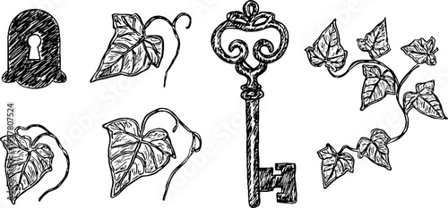 Vintage ornate skeleton key and iron lock plate with ivy leaves sketch for retro design
