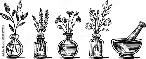 Vintage apothecary scene with herb bundles, bottles, and mortar for retro design