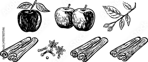 Vintage hand drawn apple fruit cinnamon sticks and clove buds for retro culinary design