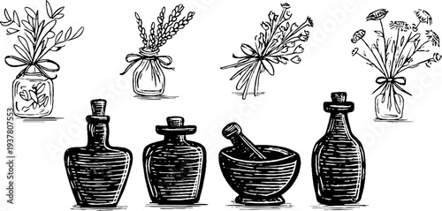 Vintage apothecary bottles and herb bundles illustration for herbal remedies design