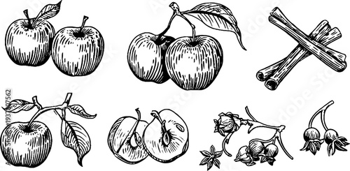 Vintage apple and spice composition - hand drawn illustration for culinary design