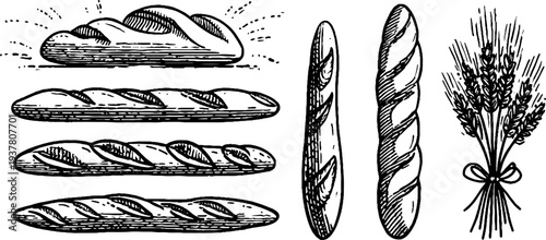 Rustic bakery baguette and wheat sheaf sketch for retro design