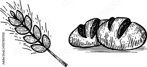 Vintage sketch of bread loaves and wheat stalk for retro design projects