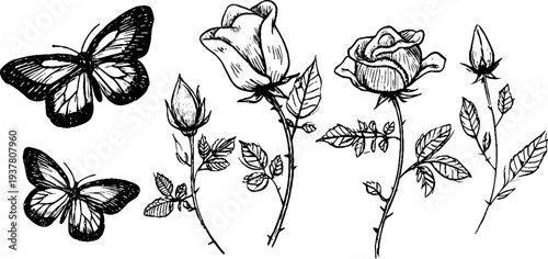 Vintage botanical set with butterfly and rose blooms for retro design projects
