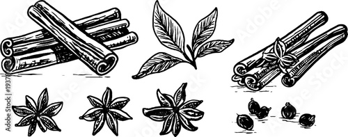 Vintage sketch of cinnamon sticks, clove buds, and star anise for culinary design