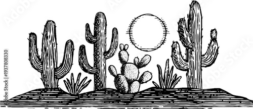 Desert cactus scene with sun and sand dunes in vintage botanical style for design
