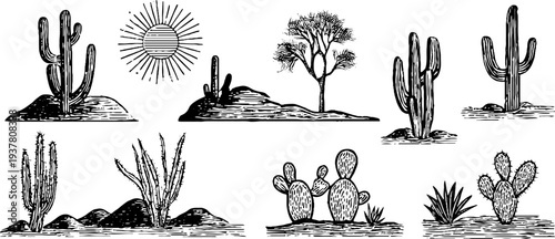 Desert skulls and cactus silhouettes with blazing sun ray for retro design