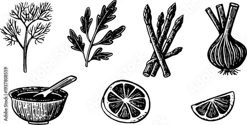 Vintage fennel bulb and orange slice sketch with herb leaves for rustic kitchen decor