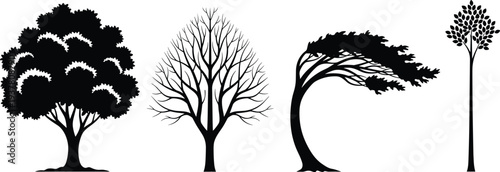Set of four black tree silhouettes including oak deciduous and windswept styles isolated on white background for landscape design projects