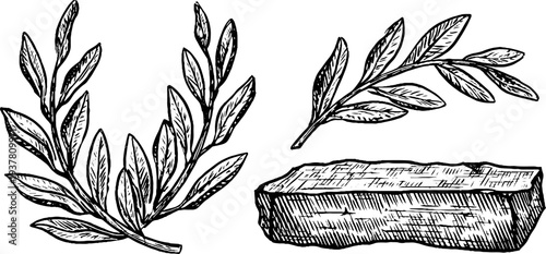 Vintage sketch of sculptor tools and laurel wreath for art and design