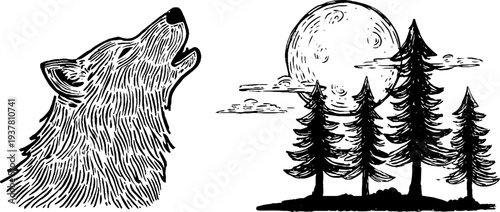 Wolf head and full moon with pine forest silhouette - nature and wildlife art design for posters