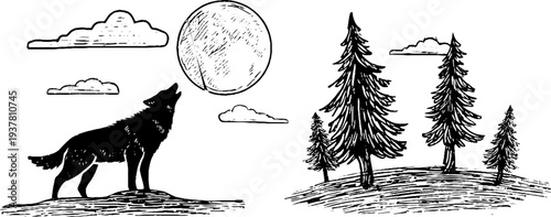 Wolf silhouette and pine trees with full moon in vintage hand drawn style