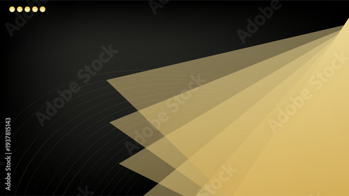 Luxury background. black and gold background. vector.