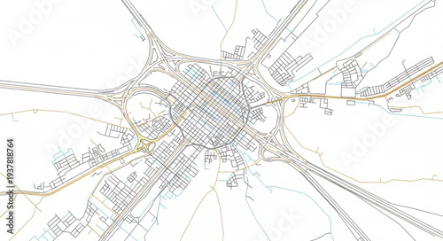 Black and White Neuron Structure.