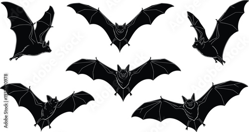 Vector illustration collection of six black bat silhouettes in flying positions with detailed wings, nocturnal animals, Halloween design, spooky night creatures.