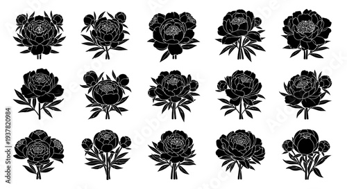 Black peony flower silhouettes arranged in rows on white background for design and decoration