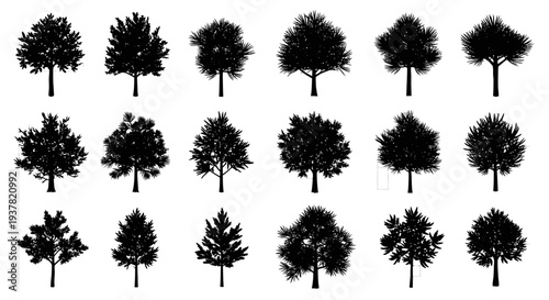 Collection of 15 different tree silhouettes in black on white background for design and decoration