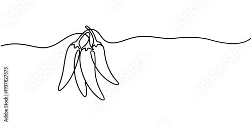 Continuous single line drawing of hot chili vector illustration design, Continuous one line drawing of hot red chili pepper graphic design. Single line art illustration of spicy chili pepper, Mirchi.