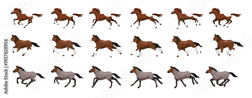 Appaloosa Clydesdale Roan Horse Animation Sequence Running Cartoon Vector Set