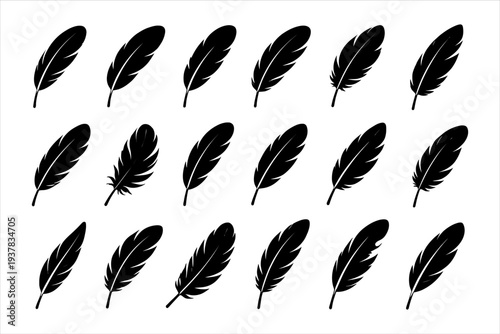 Elegant Black Feather Vector Collection for Creative Graphic Design Assets