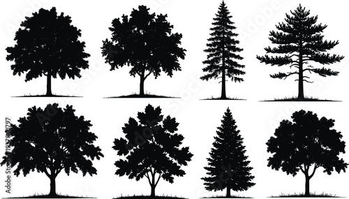 Collection of detailed tree silhouettes including oak maple and pine isolated on white background natural forest elements for landscape design vector illustration set