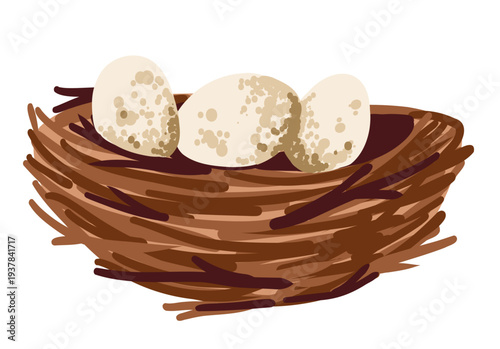 Bird nest with white eggs on transparent background