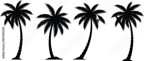 Set of tropical palm tree silhouettes isolated on light background, detailed black vector illustration collection for summer, beach landscape, travel, and exotic nature design.