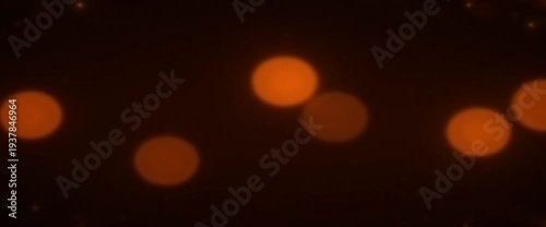 Abstract holographic light distortion on smooth wavy glass surface seamless loop