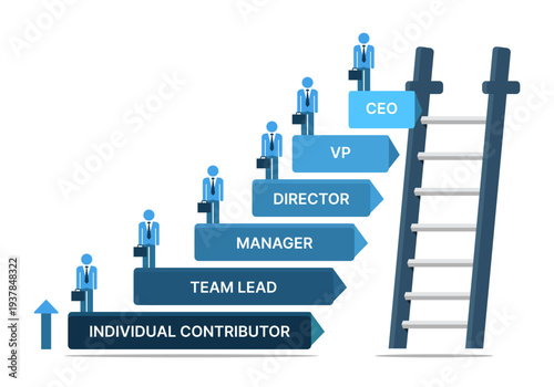 Corporate career ladder infographic with job titles and employee