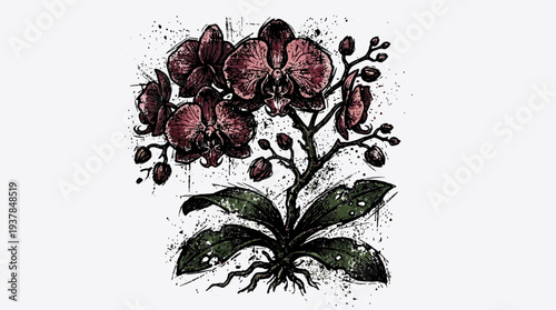Hand-drawn orchid flowers with sketched leaves and roots