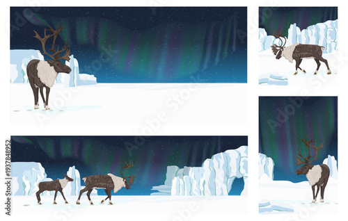 Arctic landscape with reindeer, northern lights aurora borealis and icebergs. Vector winter nature background with wild animals, snow and starry night sky for banners and social media