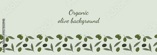 Seamless olive fruits and leaves border with Mediterranean botanical elements. Decorative banner perfect for food packaging, labels, menus, olive oil branding and design.