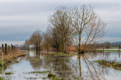 floodplain meadow in eastern France