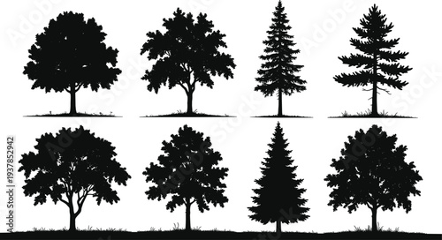 Set of tree silhouettes including deciduous and pine varieties isolated on white background, black vector illustration collection for landscape, nature and outdoor design projects