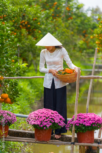 Vietnamese girl portrait in ripe tangerine garden wearing conical hat