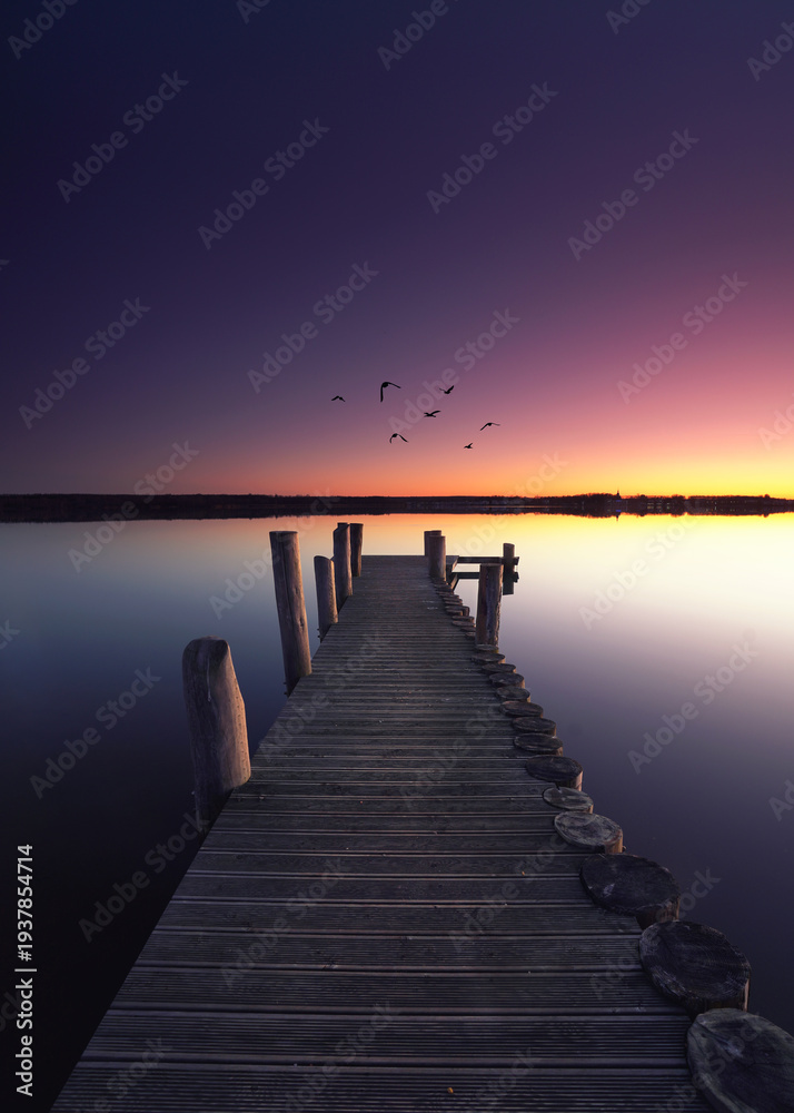 Fototapeta premium birds over the wooden pier in summer sunset at the beach