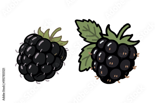 Two cartoon-style blackberries with detailed leaves and glossy highlights on white background, representing fresh fruit and summer harvest