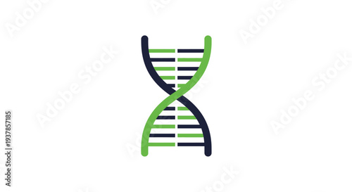 DNA Double Helix Structure Illustration.