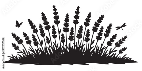 Lavender Flower Field Silhouette, Silhouette Vector, Isolated on White Background