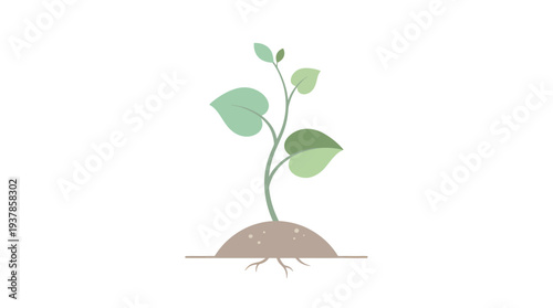 Clean flat design illustration of a growing green plant with visible roots in the soil, symbolizing fresh life, natural development, and the journey of growth