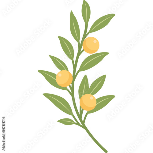 Decorative Corner Leaves