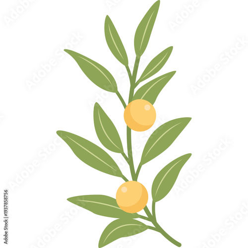 Decorative Corner Leaves