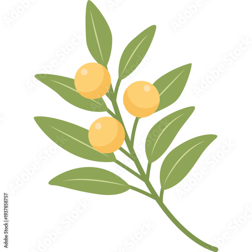 Decorative Corner Leaves