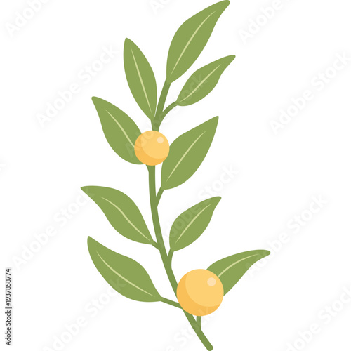 Decorative Corner Leaves