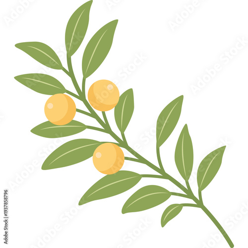 Decorative Corner Leaves