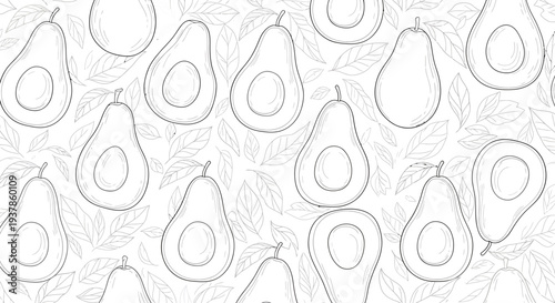 Seamless pattern of hand drawn avocados on white background.