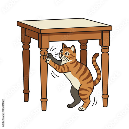 Playful ginger tabby cat scratching wooden table leg with claws on white background, concept of pet behavior and domestic animal care