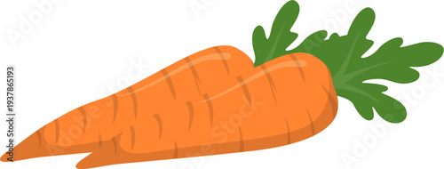Two Cartoon Carrots Isolated