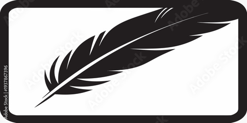 A striking black feather presented within a rounded rectangular frame