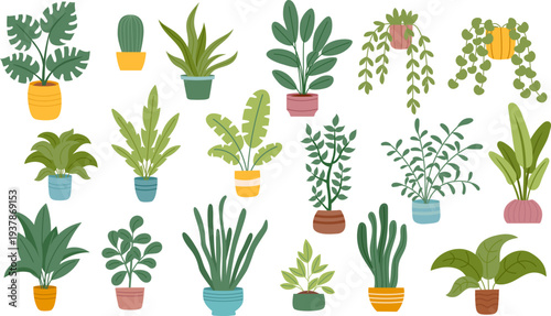 Set of houseplants isolated on white. Concept of greening, home decor, nature, botanical design, ecology, care, growth and sustainability. Vector hand drawn cliparts.